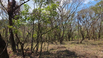 /international/gt/km-23-5-carretera-a-el-salvador-condominio-casa-y-campo-road-to-el-salvador-guatemala-road-to-el-salvador-guatemala-city-310107449231/