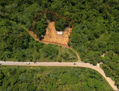 /international/hn/politilly-roatan-bay-islands-department-310094534622/?lang=fr