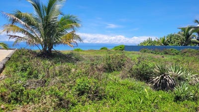 /international/hn/utila-bay-islands-department-310107445823/
