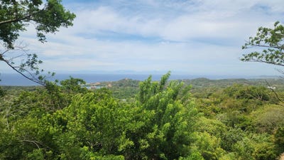 /international/hn/lot-10-roatan-bay-islands-department-310108900814/