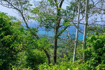 /international/hn/roatan-bay-islands-department-310108647044/