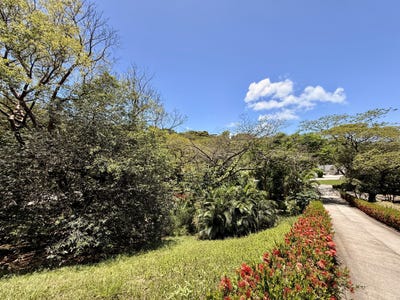 /international/hn/diamond-rock-roatan-bay-islands-department-310107470997/