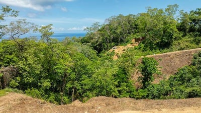 /international/hn/roatan-bay-islands-department-310108787963/