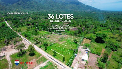 /international/hn/cacao-a-1-10-kms-de-carretera-ca-13-en-carretera-pavimentada-la-ceiba-atlantida-la-ceiba-atlantida-department-310101375657/?lang=es