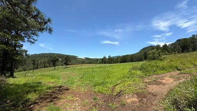 /international/hn/aldea-pinares-municipio-de-intibuca-departamento-de-intibuca-la-esperanza-intibuca-la-esperanza-intibuca-310101472771/?lang=fr
