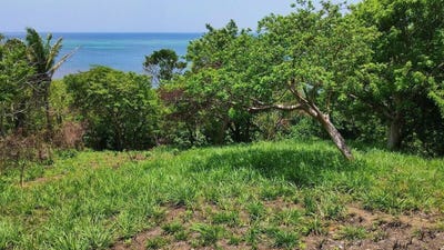 /international/hn/roatan-bay-islands-department-310101042769/?lang=zh-tw