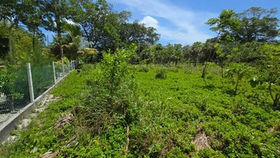 /international/hn/south-shore-back-road-utila-bay-islands-department-310101077404/?lang=zh-cn