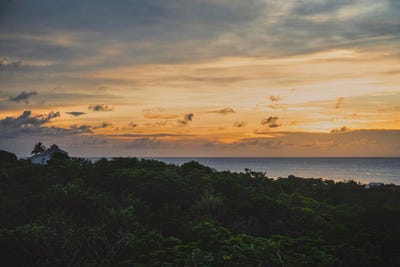 /international/hn/milton-bight-roatan-islas-de-la-bahia-roatan-bay-islands-department-310108248159/