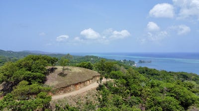 /international/hn/milton-roatan-bay-islands-department-310100936302/?lang=es