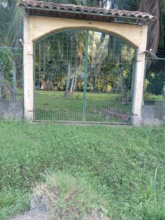 /international/hn/barrio-venecia-tela-atlantida-tela-atlantida-tela-atlantida-department-310104533078/