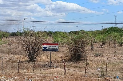 /international/hn/carretera-hacia-tegucigalpa-a-200mts-de-la-posta-policial-de-pavana-choluteca-choluteca-choluteca-choluteca-310107045897/