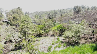 /international/hn/municipio-de-tatumbla-francisco-morazan-lugar-denominado-barrio-palmira-honduras-tatumbla-francisco-morazan-tatumbla-francisco-morazan-department-310108291028/