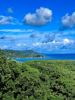 /international/hn/jonesville-point-roatan-bay-islands-department-310108645607/