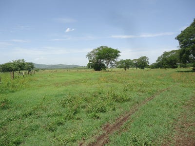 /international/hn/sitio-agua-zarca-pavana-valle-san-lorenzo-valle-san-lorenzo-valle-department-310101375716/?lang=es