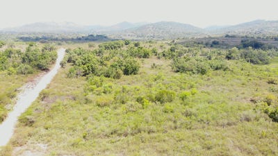 /international/hn/talanga-zona-de-guadalquivir-francisco-morazan-honduras-c-a-talanga-francisco-morazan-talanga-francisco-morazan-department-310108291026/