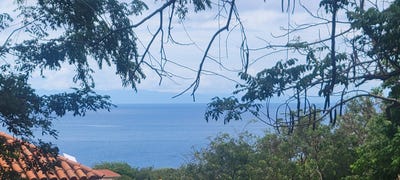 /international/hn/parrot-tree-roatan-bay-islands-department-310101272063/?lang=it