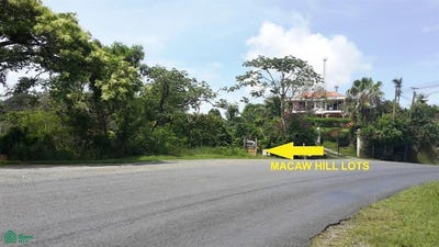 /international/hn/macaw-hill-lot-4-s-n-roatan-islas-de-la-bahia-roatan-bay-islands-department-310101207009/?lang=it