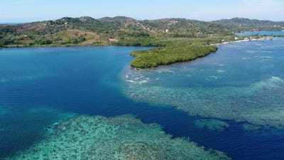 /international/hn/milton-bight-roatan-islas-de-la-bahia-roatan-bay-islands-department-310108248162/