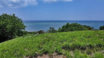 /international/hn/roatan-bay-islands-department-310101042810/?lang=zh-tw