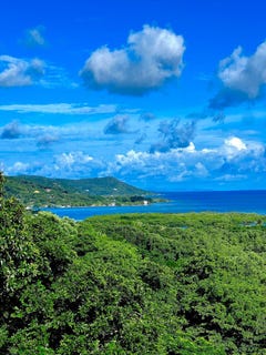/international/hn/terra-chukla-roatan-islas-de-la-bahia-roatan-bay-islands-department-310108733236/