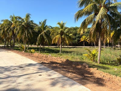 /international/hn/cmc7-cx-jose-santos-guardiola-bay-islands-department-310106106389/