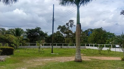 /international/hn/residencial-los-manzanos-tulian-en-omoa-cortes-omoa-cortes-omoa-cortes-department-310107565370/