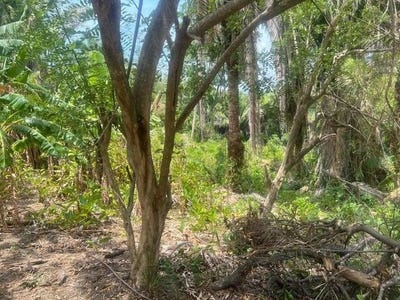 /international/hn/milton-bight-roatan-roatan-islas-de-la-bahia-roatan-bay-islands-department-120087703672/?lang=fr