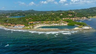 /international/hn/parrot-tree-plantation-roatan-bay-islands-department-310106335006/
