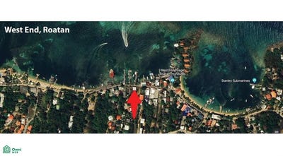 /international/hn/west-end-divers-s-n-roatan-islas-de-la-bahia-roatan-bay-islands-department-310101108766/