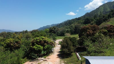 /international/hn/paujiles-tela-atlantida-tela-atlantida-tela-atlantida-department-310102318348/