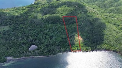 /international/hn/cphj-3v-jose-santos-guardiola-bay-islands-department-310106991580/