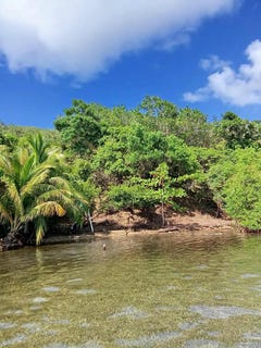 /international/hn/waterfront-port-royal-roatan-bay-islands-department-310104523146/