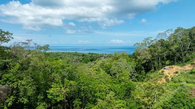/international/hn/roatan-bay-islands-department-310108272877/