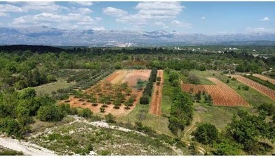 /international/hr/novigrad-istria-county-310107446810/