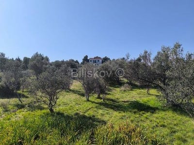 /international/hr/vodice-sibenska-ulica-310107298554/