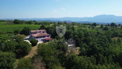 /international/hr/gracisce-istria-county-310100661774/