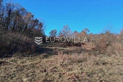 /international/hr/labin-istria-county-310107496777/
