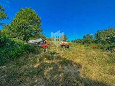 /international/hr/motovun-istria-county-120086359155/