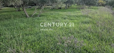 /international/hr/zadarska-zupanija-zadar-county-310106857347/