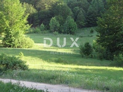 /international/hr/fuzine-primorje-gorski-kotar-county-120098606354/