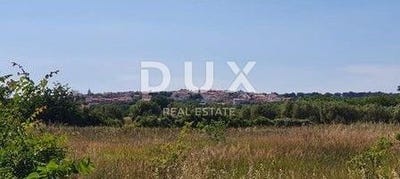 /international/hr/liznjan-istria-county-120089965965/