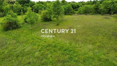 /international/hr/istarska-zupanija-istria-county-310106856459/