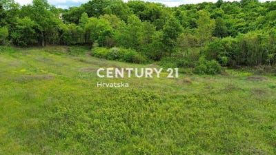 /international/hr/istarska-zupanija-istria-county-310106858208/