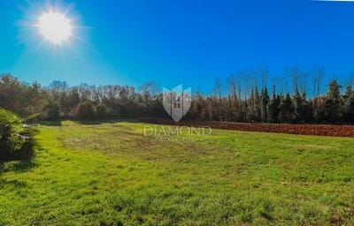 /international/hr/umag-istria-county-310099286239/