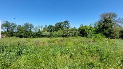/international/hr/kastelir-labinci-istria-county-120095671486/