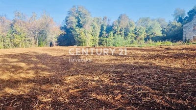 /international/hr/istarska-zupanija-istria-county-310106857395/