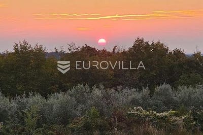 /international/hr/umag-istria-county-120096864520/