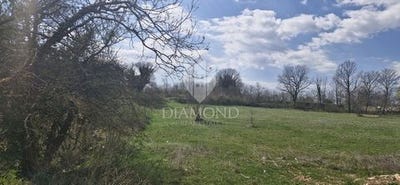/international/hr/svetvincenat-istria-county-310108404609/