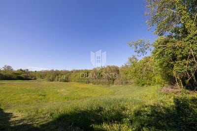 /international/hr/zminj-istria-county-310106879332/
