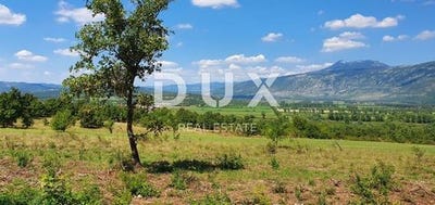 /international/hr/labin-istria-county-310100830306/